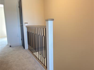 Picture 16